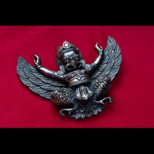 Garuda pour protection